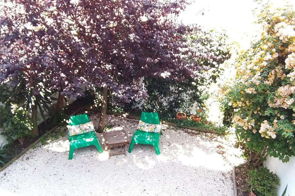 Apartment With Private Garden - Central Location Lisboa Dış mekan fotoğraf