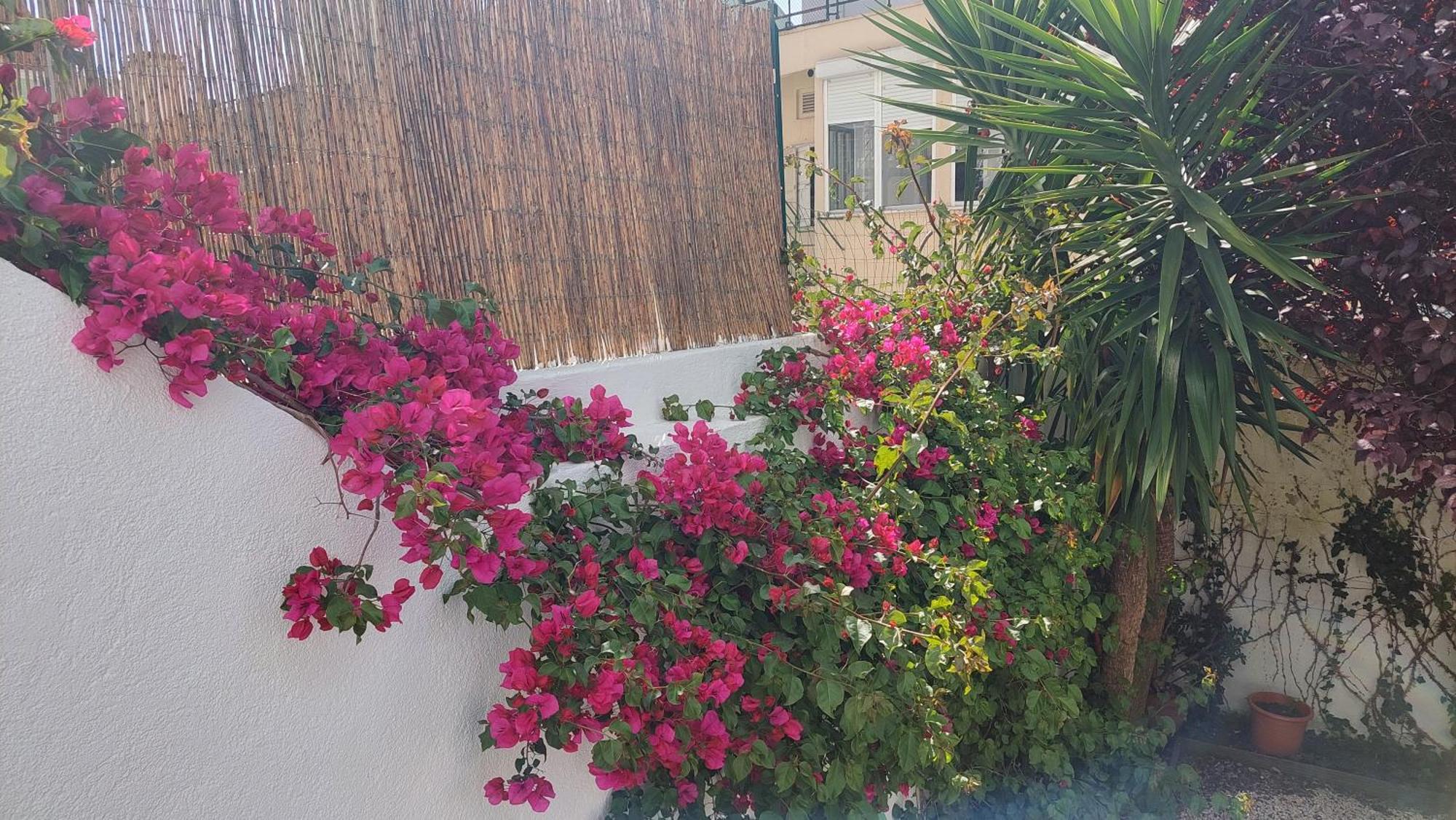 Apartment With Private Garden - Central Location Lisboa Dış mekan fotoğraf